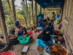 Cerita Hargorejo, Bangkit Lewat Reforma Agraria: Dari Perbukitan Sunyi Jadi Sentra Gula Semut